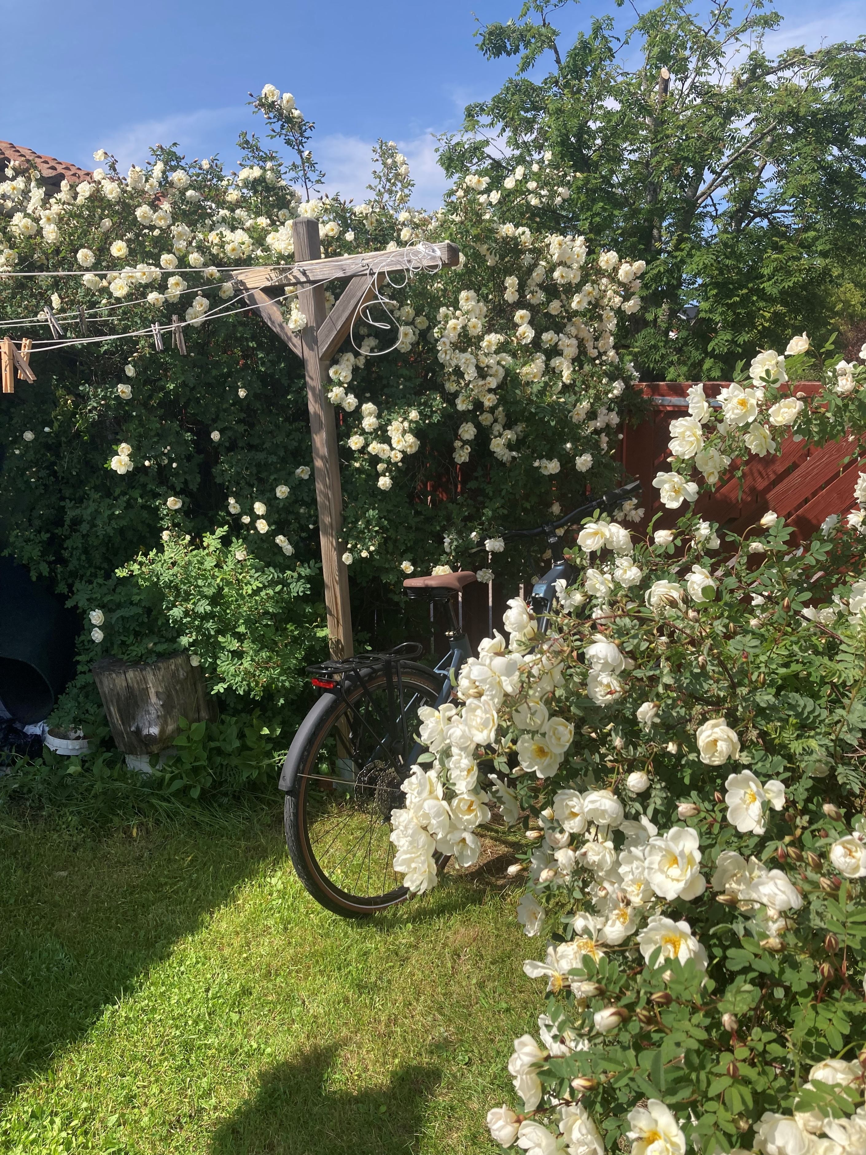 Säljarens egna bilder