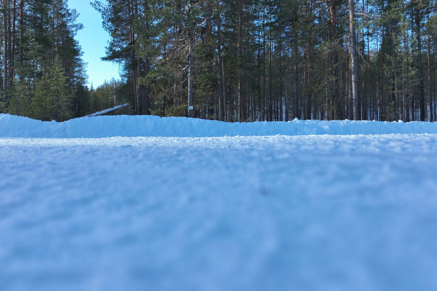 Väldigt plan tomt