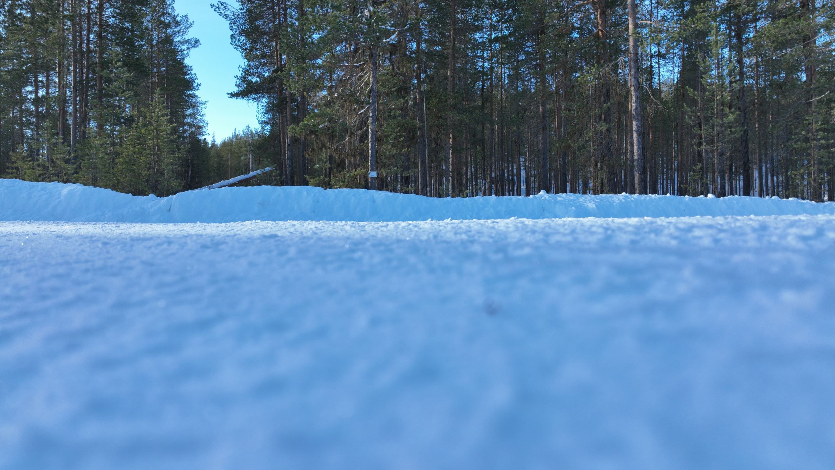 Väldigt plan tomt