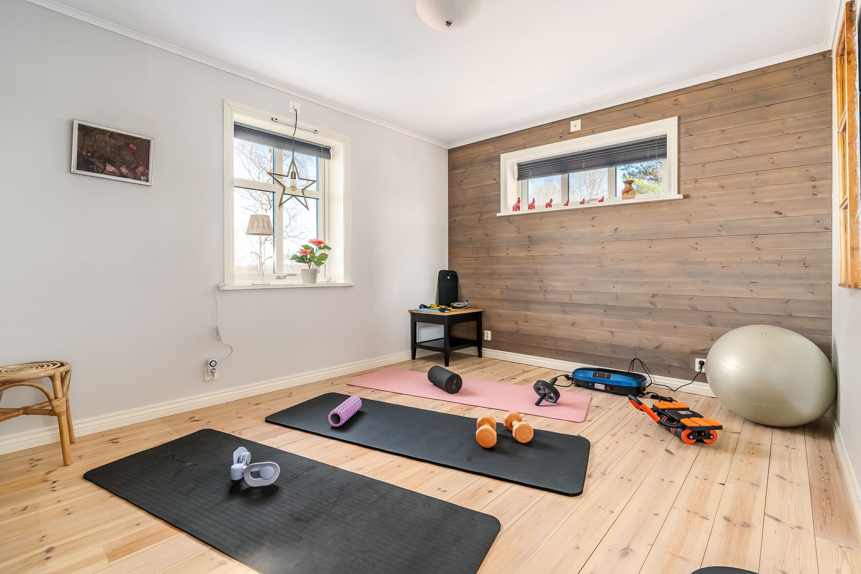 Sovrum/gästrum/träningsrum