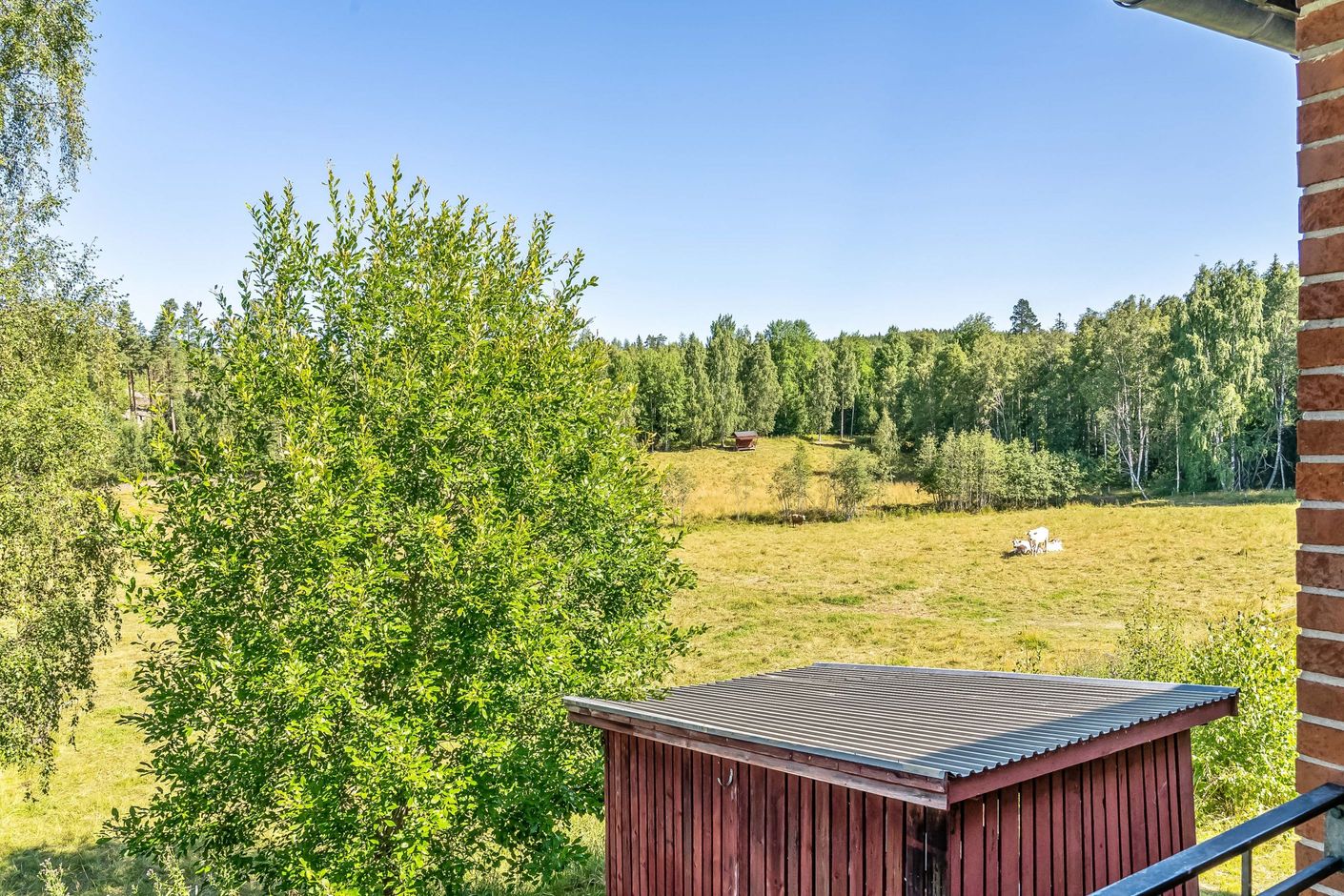 Utsikt från balkong