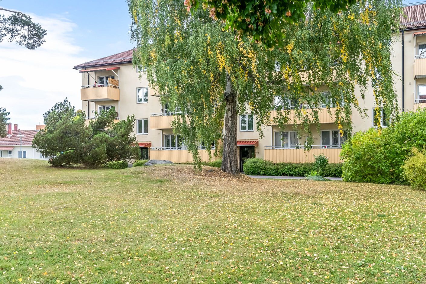 Grönskande innergård