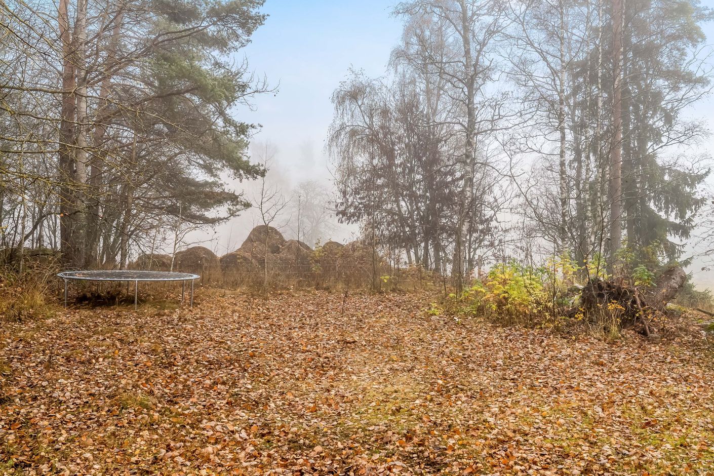 Del av tomt i höstskrud