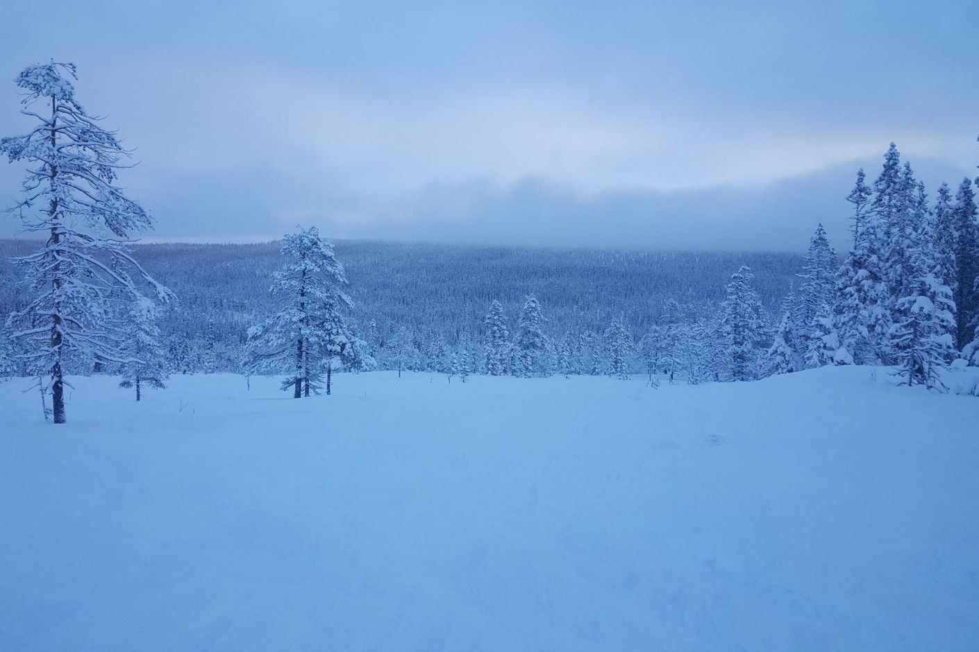 Säljarens bilder från Gördalen