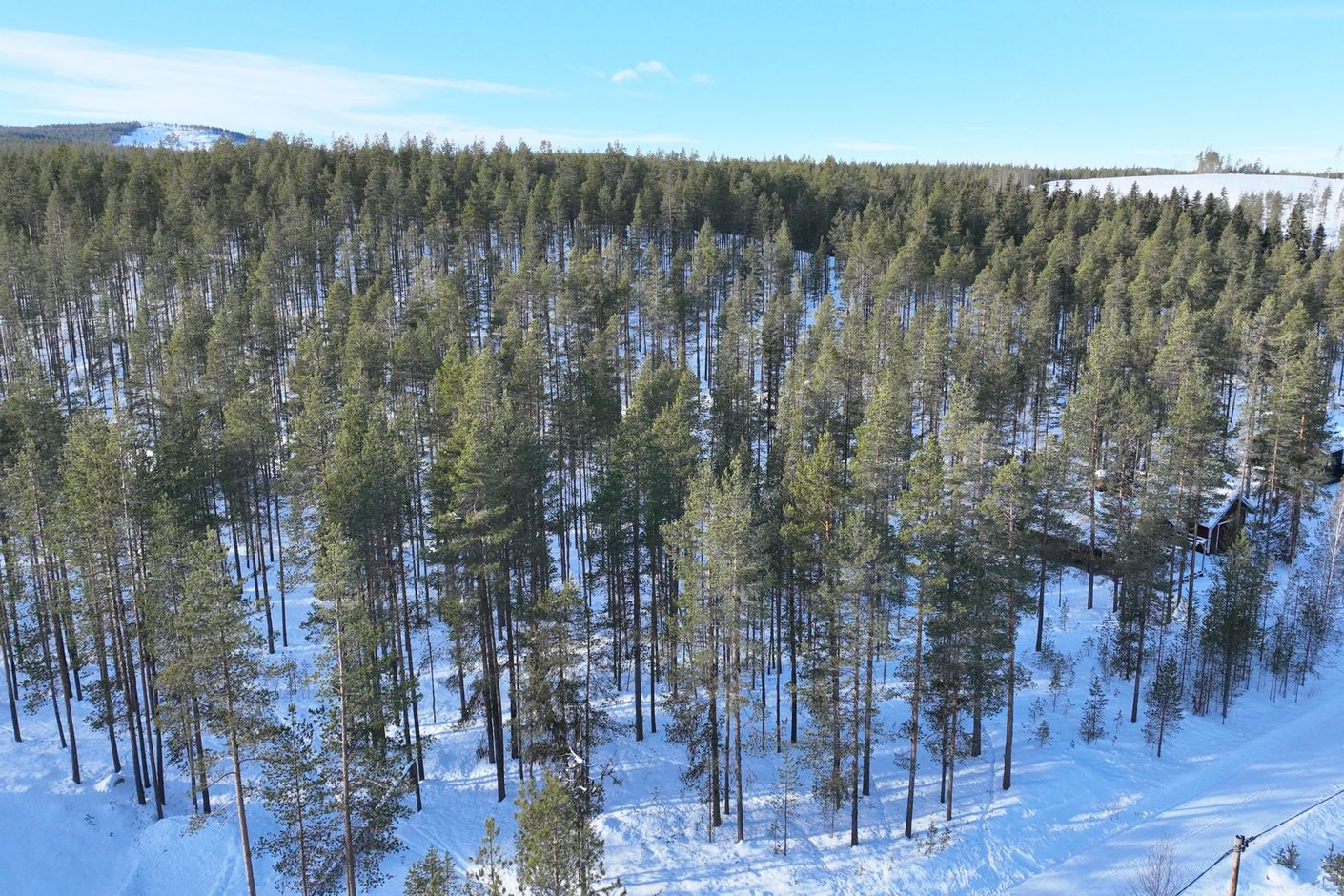 Tomten i plan lutning