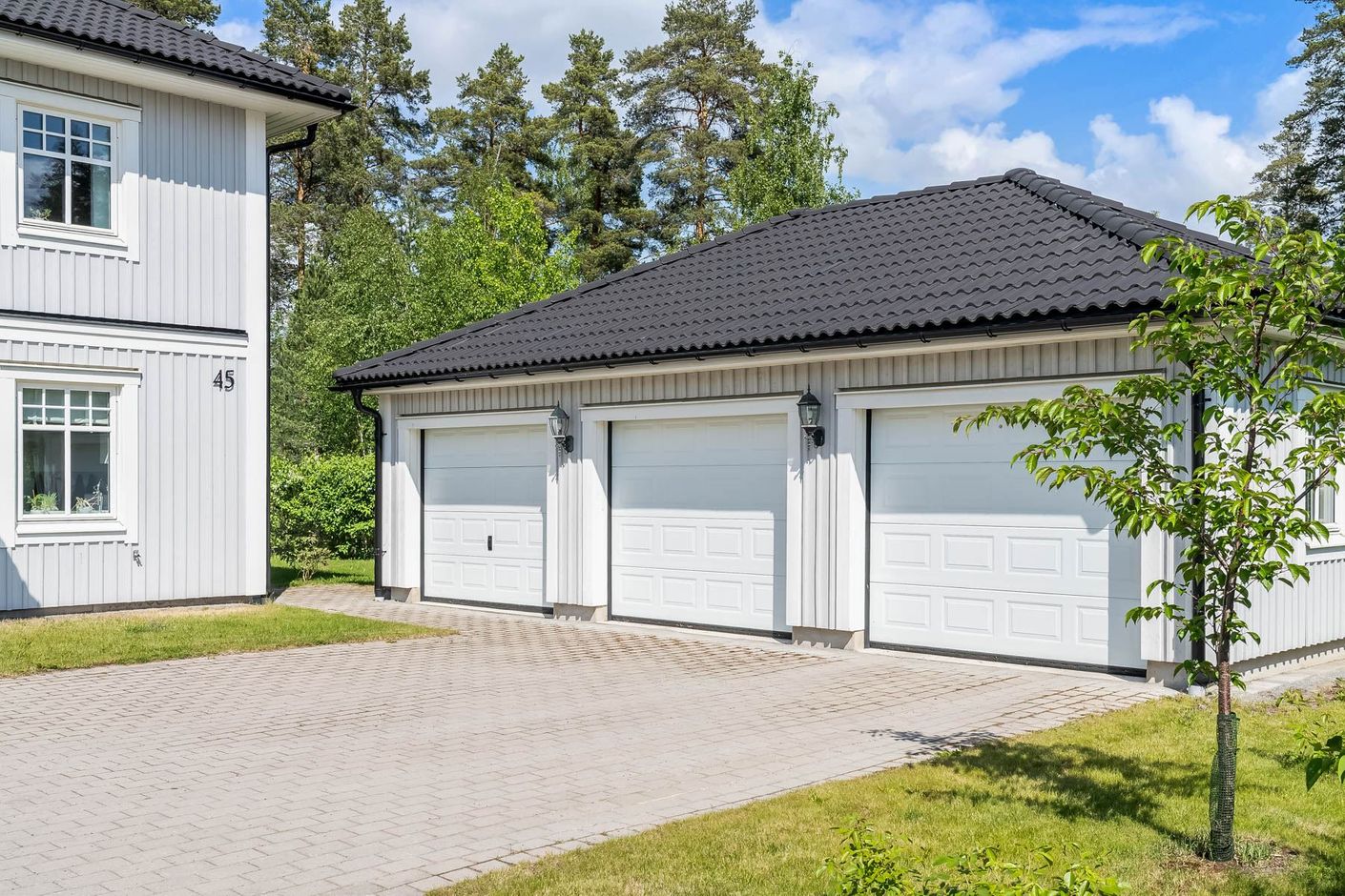 Exteriör
