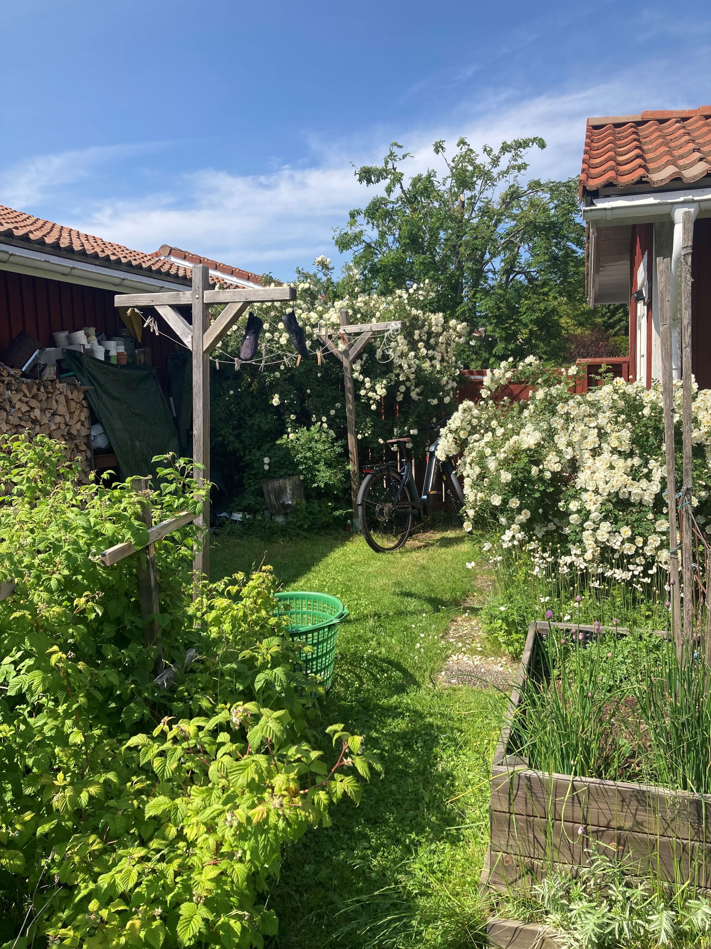 Säljarens egna bilder